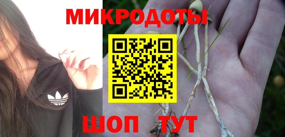 Псилоцибиновые грибы Psilocybe  Вход с VPN  Псилоцибиновые грибы Psilocybe  дарнет шоп  Сосновый Бор 
